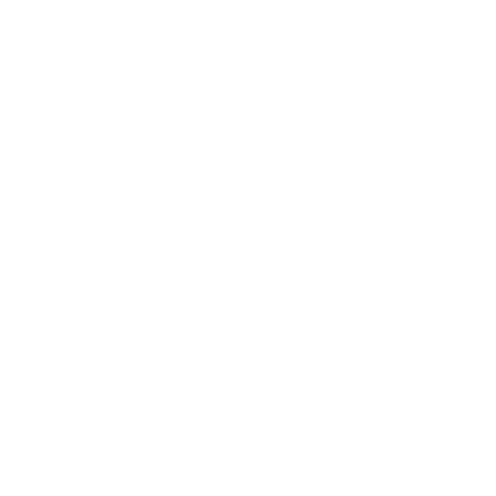 FLAVAZ Styling Team logo
